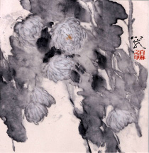白琳 墨菊