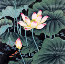 高文刚 荷花